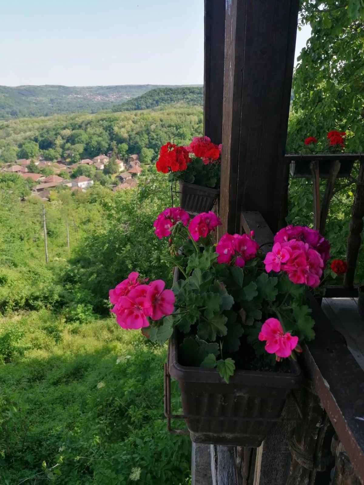 Ferienwohnung Country House Pivnica Milic Rogljevo Exterior foto