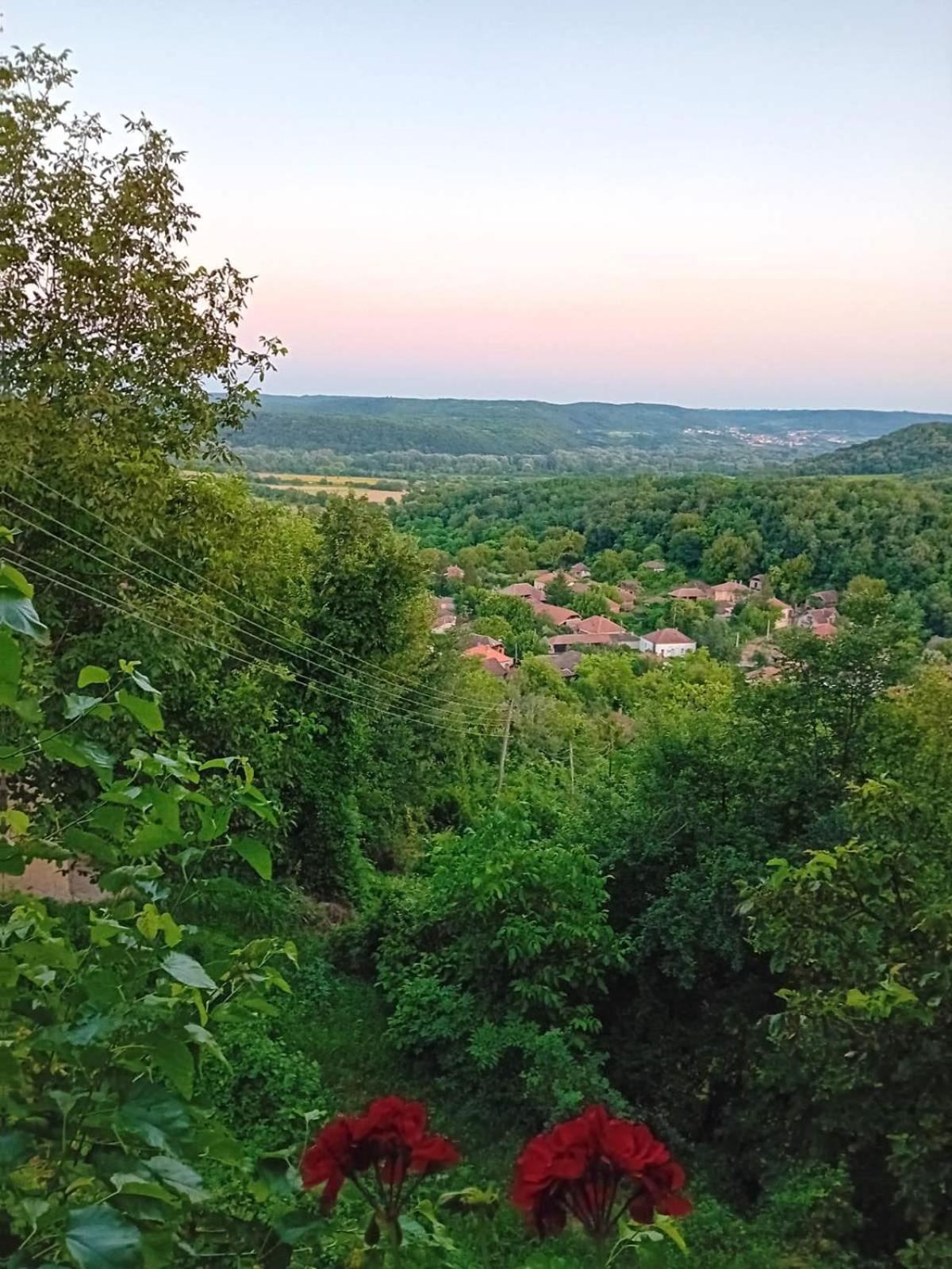 Ferienwohnung Country House Pivnica Milic Rogljevo Exterior foto